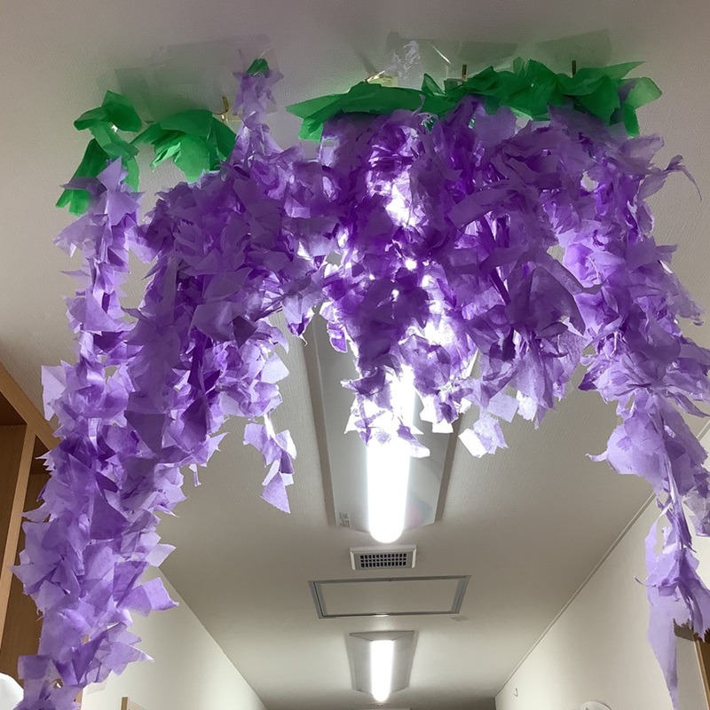 【ハビー川越第2教室】藤の花①