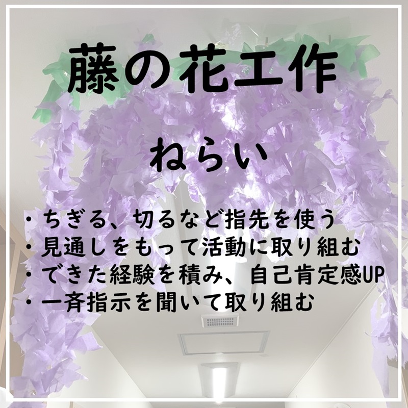 【ハビー川越第2教室】藤の花②