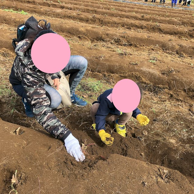 ハビーセンター北教室_（いもほり個人）