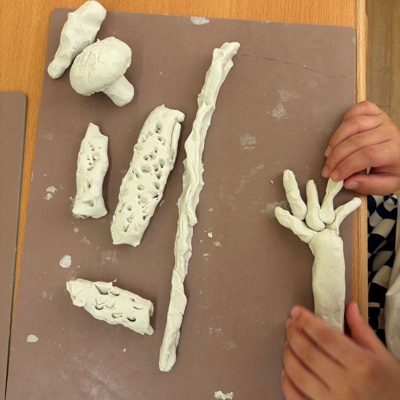 【神戸三宮】図鑑を見ながら挑戦！粘土で野菜づくり🥕✨